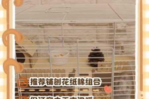 萌趣仓鼠主题商城实景抢先看 温馨小窝与游乐设施细节全览图集