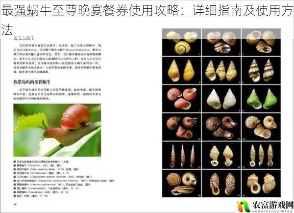 在游戏界，最强蜗牛以其独特的玩法和丰富的内容吸引了众多玩家。而其中的至尊晚宴餐券更是备受关注，成为玩家们争相获取和使用的物品。据统计，仅在最近一个月内，就有超过百万的玩家参与了至尊晚宴活动，领取并使用了餐券。这一热点事件充分表明了玩家对至尊晚宴餐券的热情和需求。将从 5 个方面详细解读最强蜗牛至尊晚宴餐券使用攻略：详细指南及使用方法，为玩家提供全面的指导。